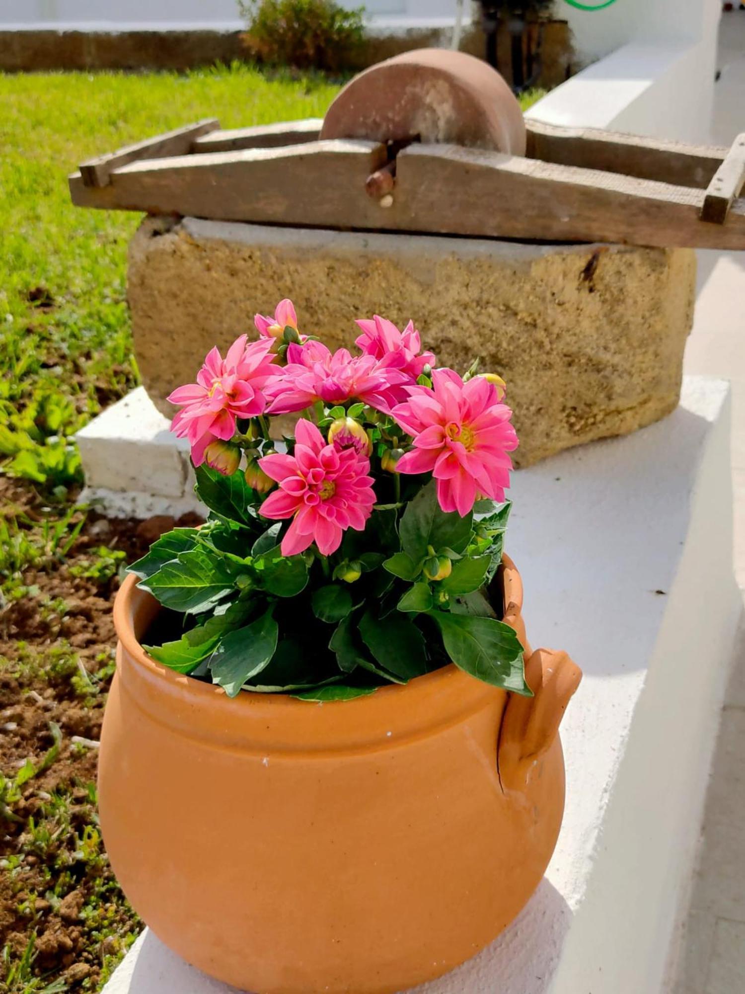 Corte Mercurio B&B Ugento Dış mekan fotoğraf