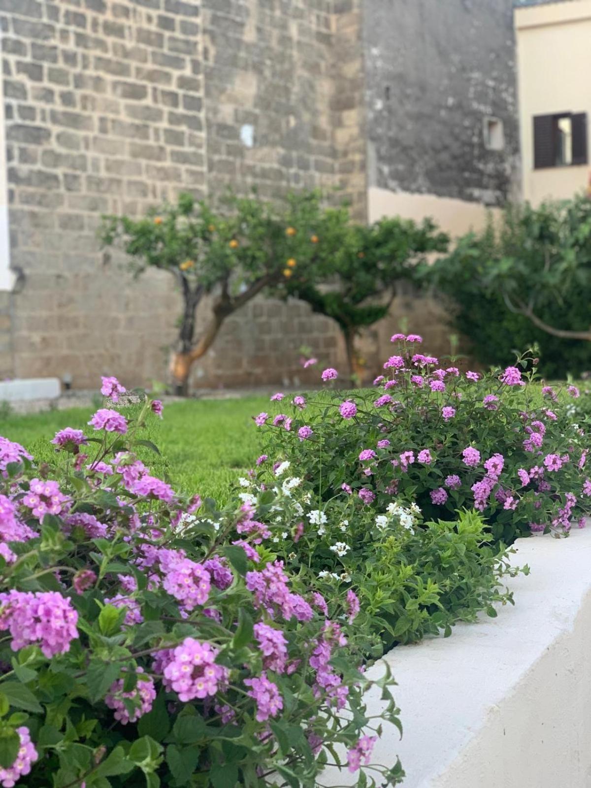 Corte Mercurio B&B Ugento Dış mekan fotoğraf
