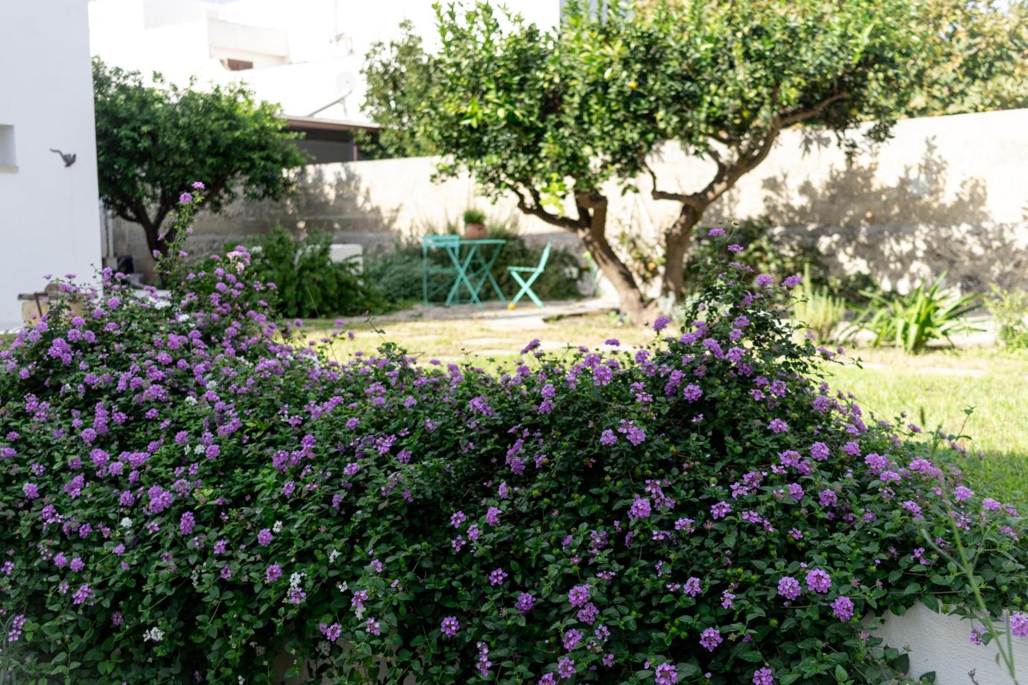 Corte Mercurio B&B Ugento Dış mekan fotoğraf
